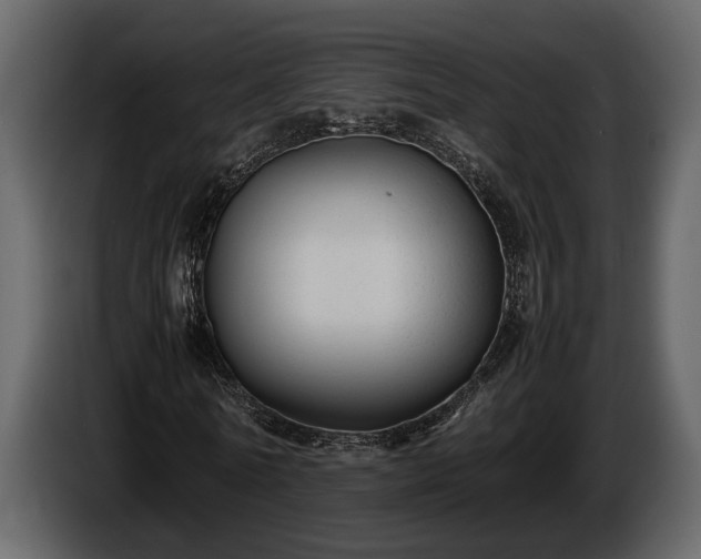 X0000085730770200703231047