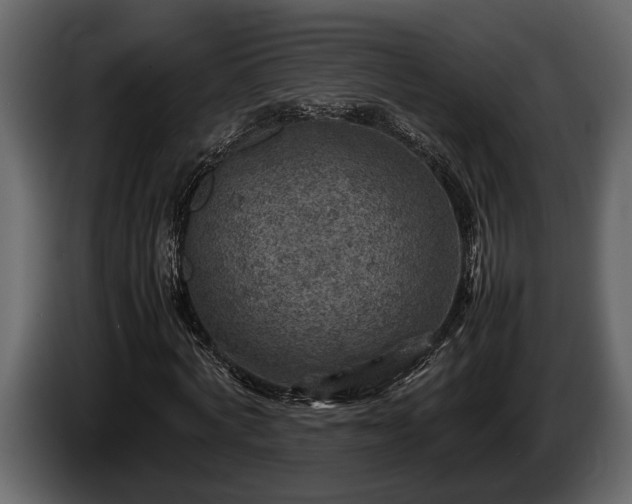 X0000085730772200703231047