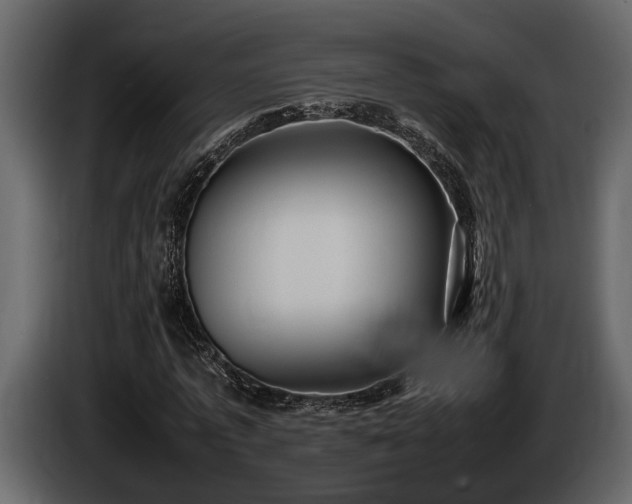 X0000085730773200703231047