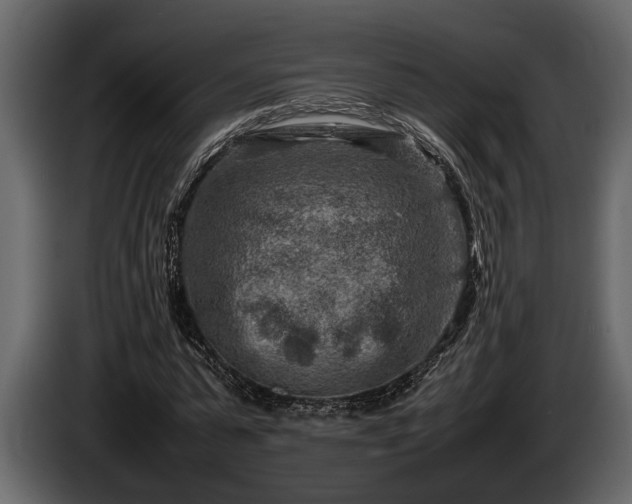 X0000085730775200703231047