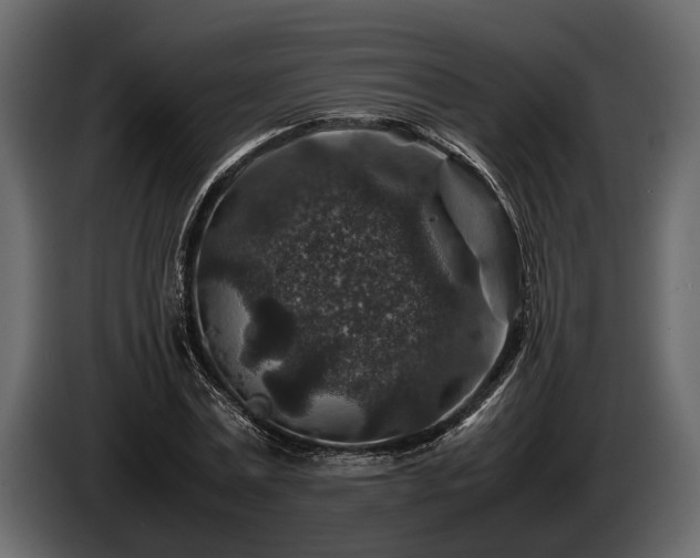 X0000085730779200703231047