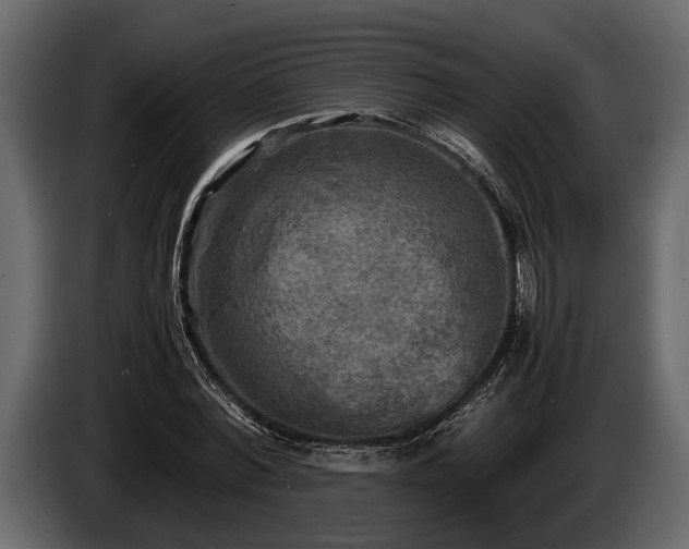 X0000085730780200703231047