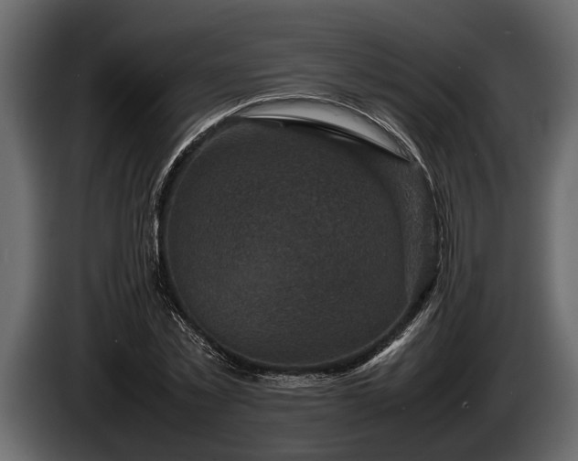 X0000085730781200703231047