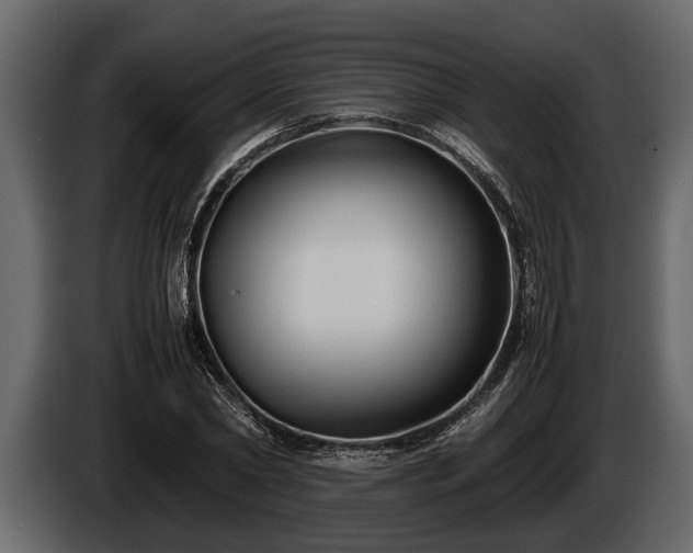 X0000085730782200703231047