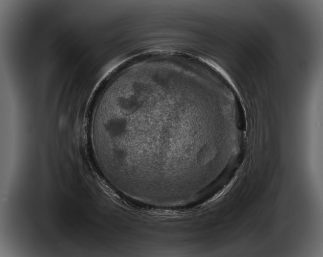 X0000085730783200703231047