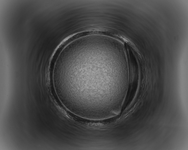 X0000085730784200703231047