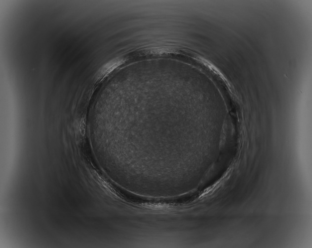 X0000085730785200703231047