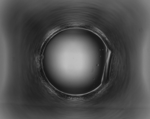 X0000085730786200703231047