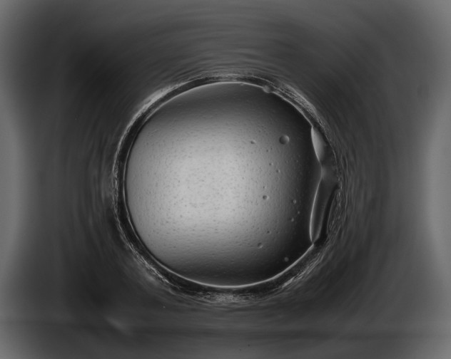 X0000085730787200703231047