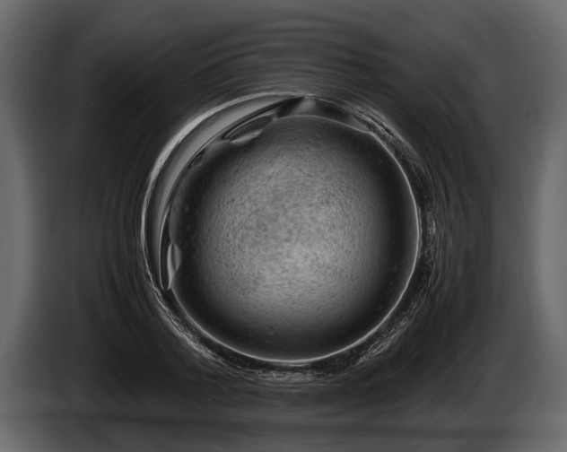 X0000085730788200703231047