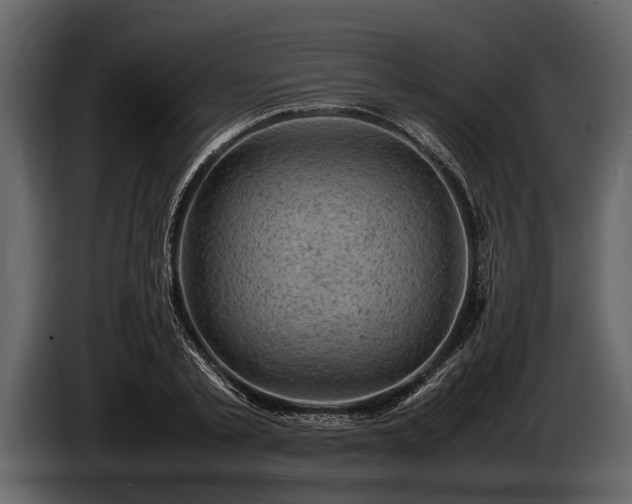 X0000085730789200703231047