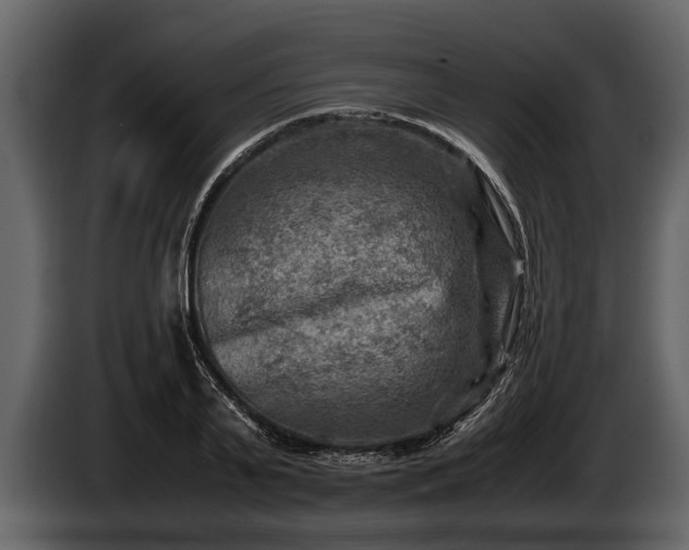 X0000085730791200703231047