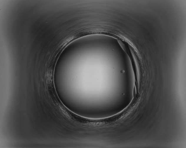 X0000085730793200703231047