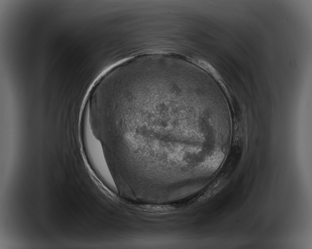 X0000085730795200703231047