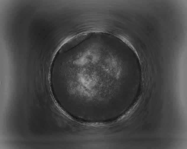 X0000085730797200703231047