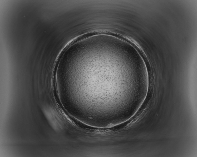 X0000085730799200703231047