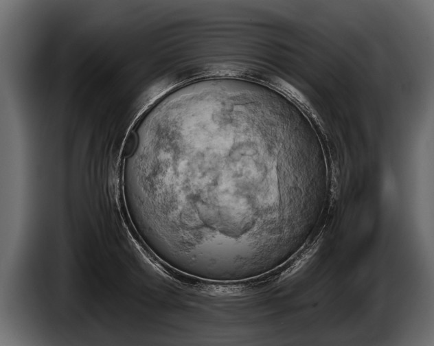 X0000085730802200703231047