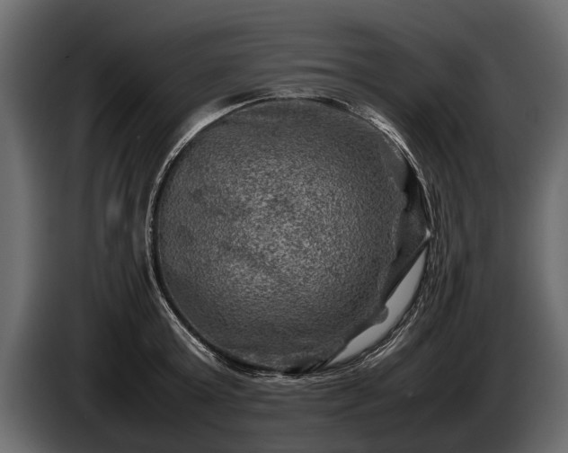 X0000085730803200703231047