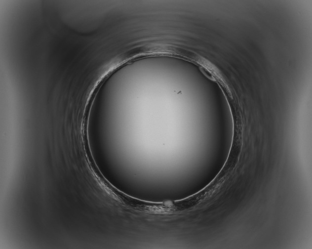 X0000085730805200703231047