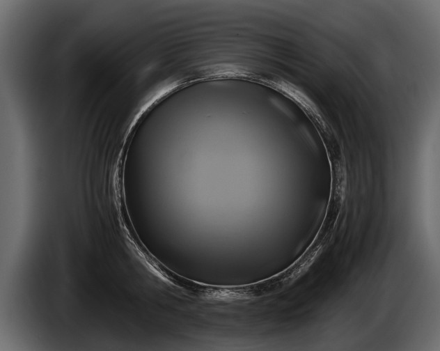 X0000085730806200703231047