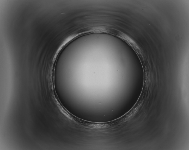 X0000085730808200703231047