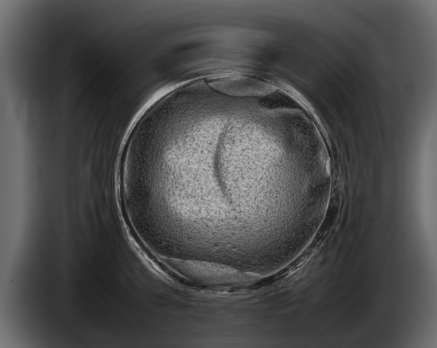 X0000085730811200703231047