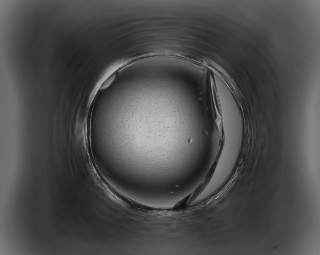 X0000085730812200703231047