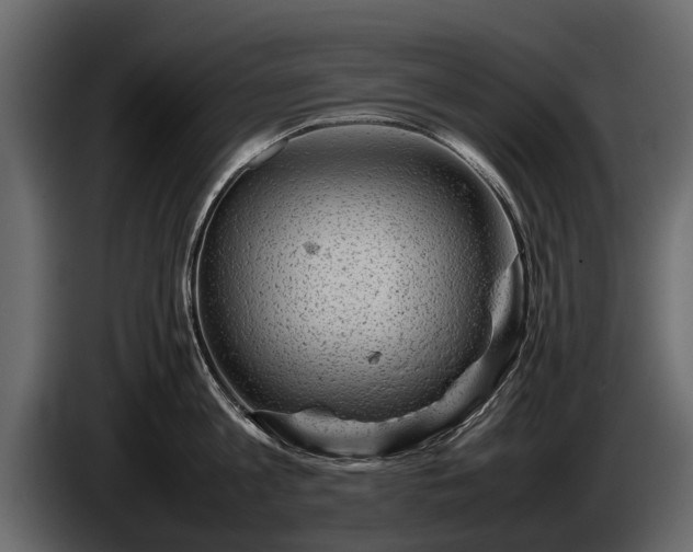 X0000085730813200703231047