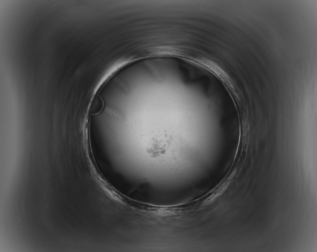 X0000085730814200703231047