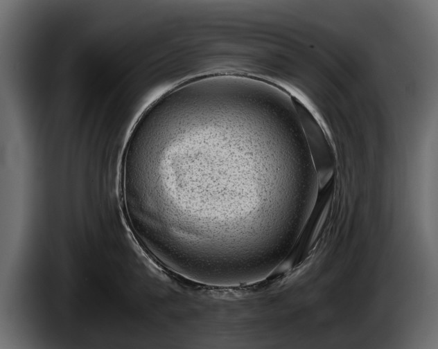 X0000085730815200703231047