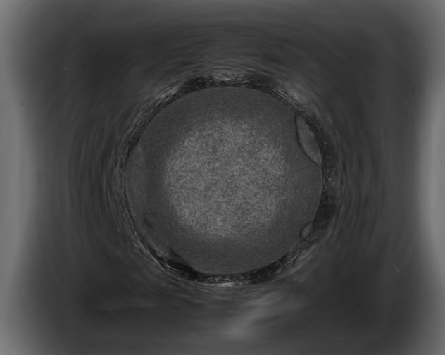 X0000085730817200703231046