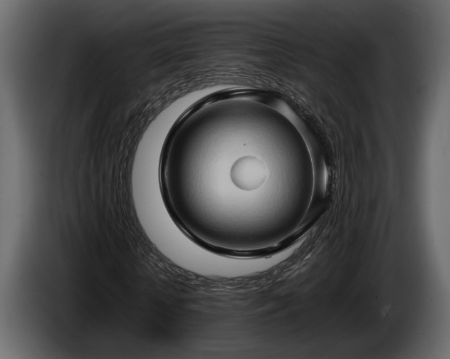 X0000085730818200703231046