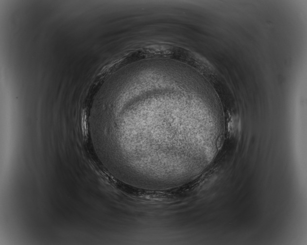 X0000085730819200703231046