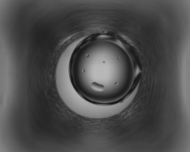 X0000085730822200703231046