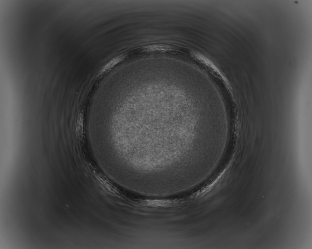 X0000085730825200703231046