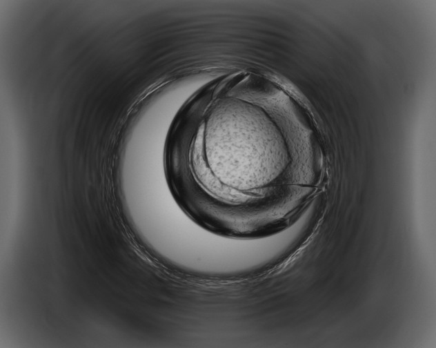 X0000085730826200703231046