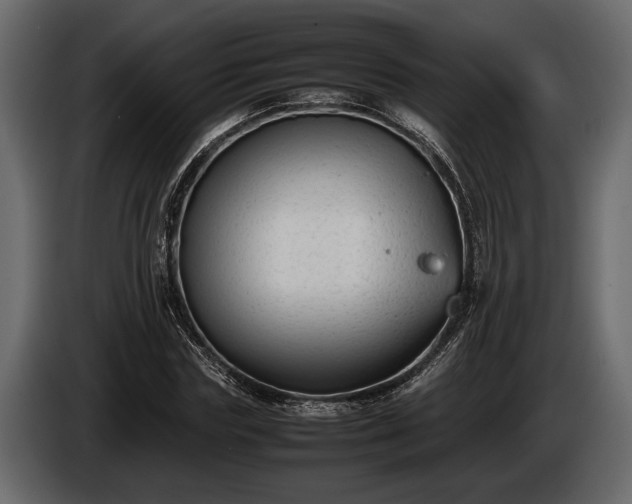 X0000085730827200703231046