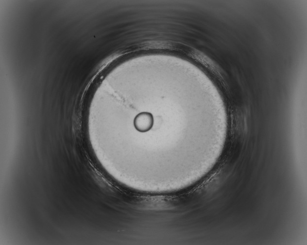 X0000085730828200703231046