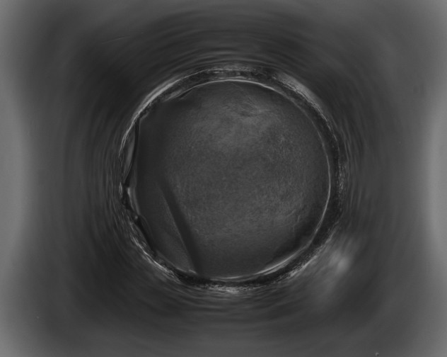 X0000085730829200703231046