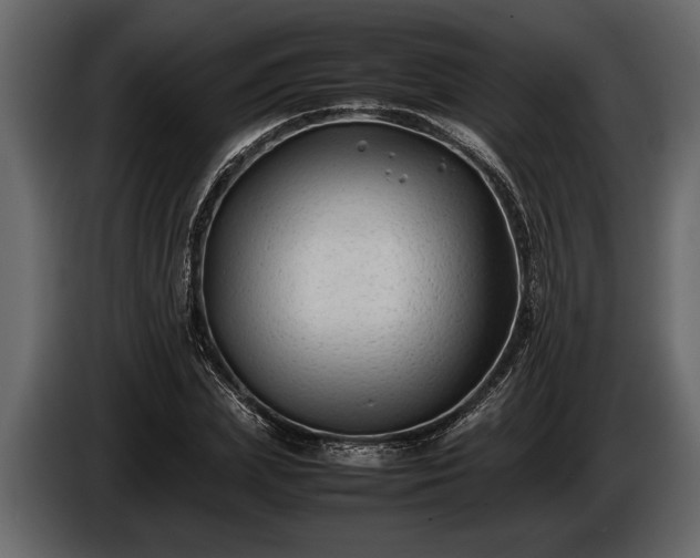 X0000085730831200703231046