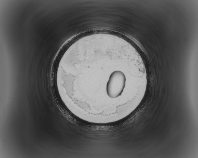 X0000085730832200703231046