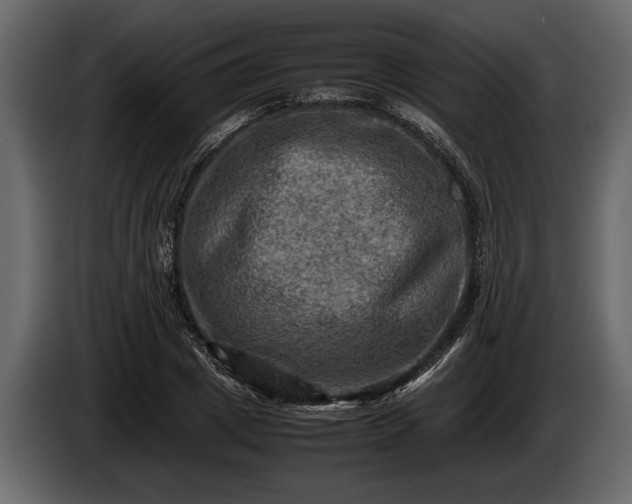 X0000085730833200703231046