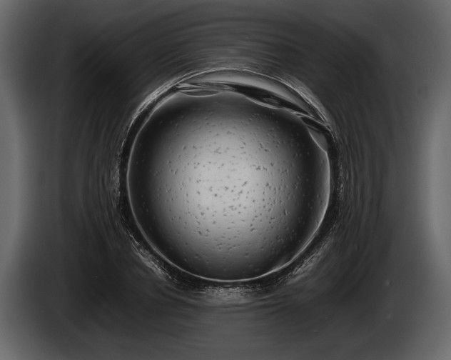 X0000085730834200703231046