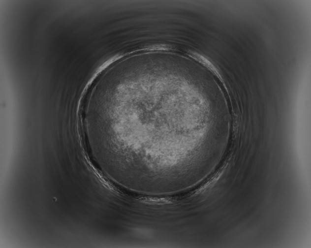 X0000085730835200703231046