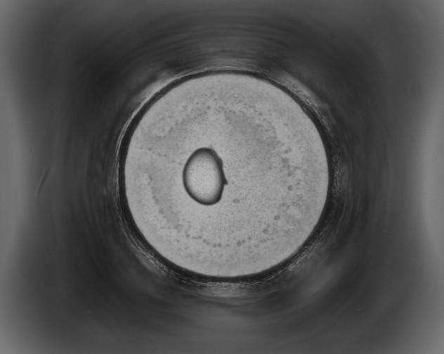 X0000085730836200703231046