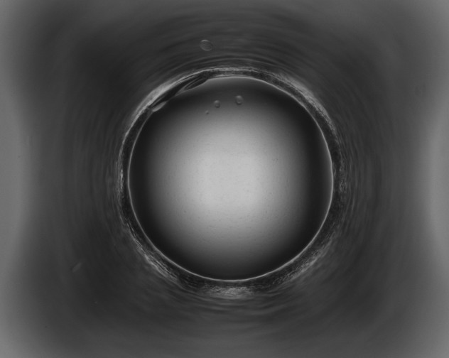 X0000085730837200703231046