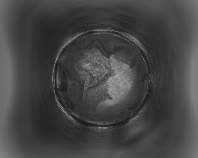 X0000085730839200703231046