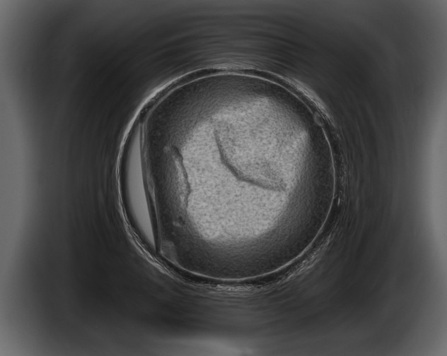 X0000085730840200703231046