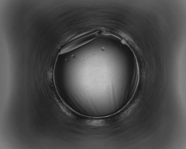 X0000085730841200703231046