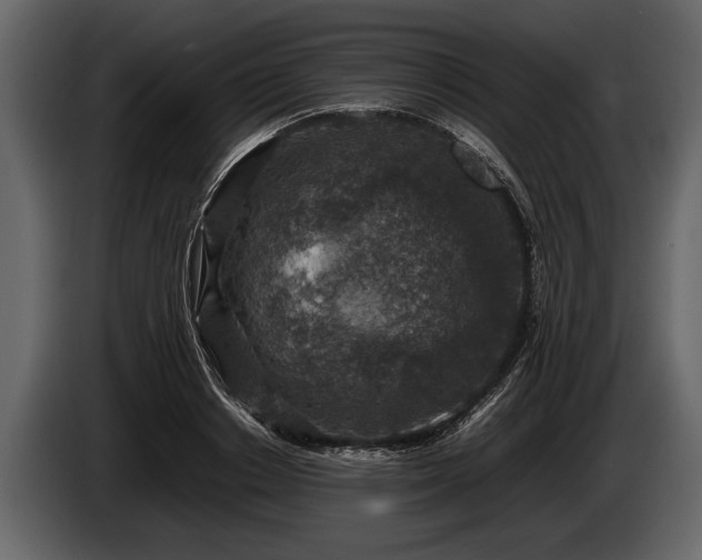 X0000085730842200703231046